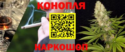 соль ск Будённовск