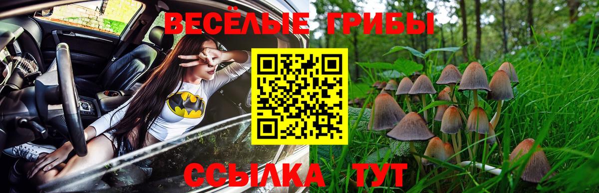 Псилоцибиновые грибы Psilocybe Рязань