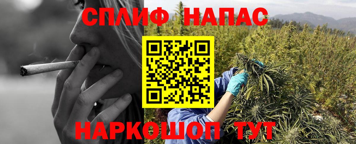 Шишки марихуана конопля  Вход с VPN  Рязань  Марихуана White Widow  Конопля ГИДРОПОН 